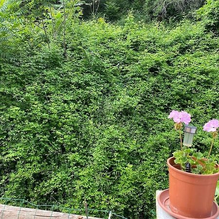 Villa Serenice - F2 Au Calme, Climatise, Wifi Et Parking Gratuit Zewnętrze zdjęcie