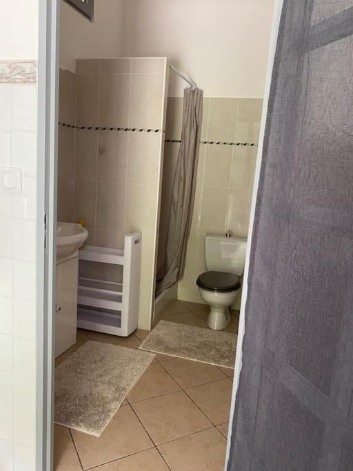 Villa Serenice - F2 Au Calme, Climatise, Wifi Et Parking Gratuit Zewnętrze zdjęcie